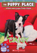 Daisy