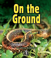 On the Ground