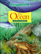 The Ocean