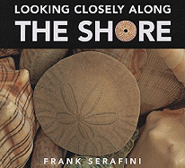 Looking Closely Along the Shore