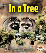In a Tree