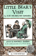 Little Bear's Visit