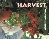 Harvest
