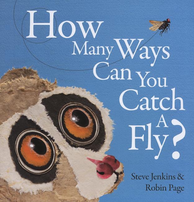 How Many Ways Can You Catch a Fly?