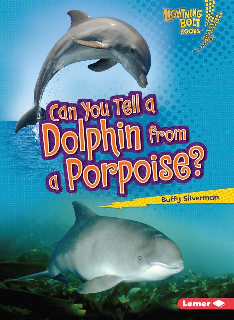 Can You Tell a Dolphin from a Porpoise?