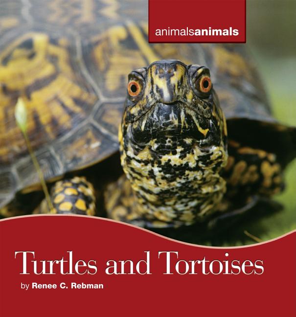 Turtles and Tortoises