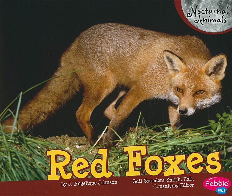 Red Foxes