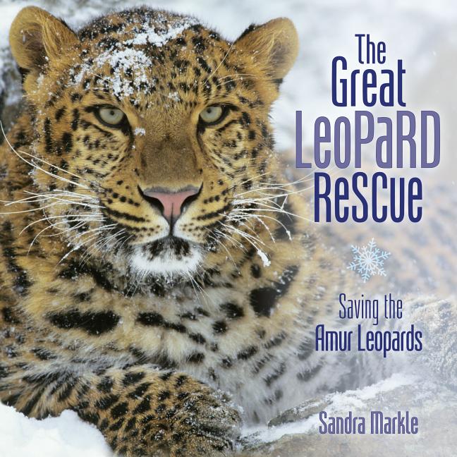 The Great Leopard Rescue: Saving the Amur Leopards