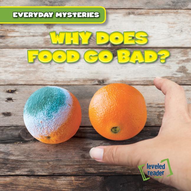 Why Does Food Go Bad?