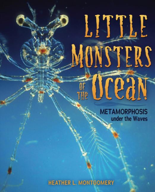 Little Monsters of the Ocean: Metamorphosis Under the Waves