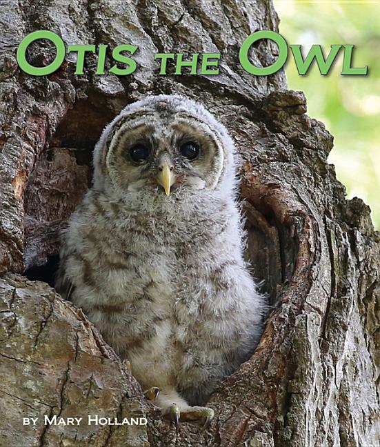 Otis the Owl