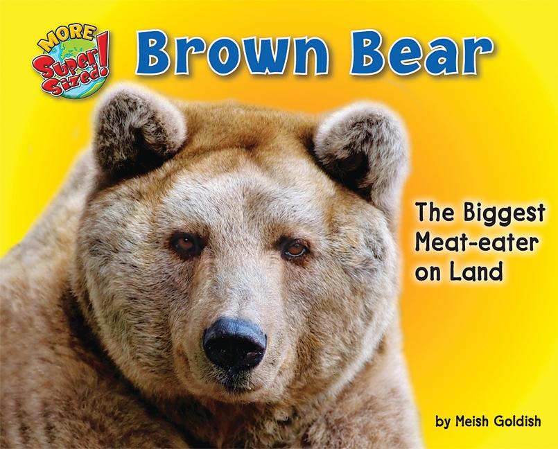 Brown Bear: The Biggest Meat-Eater on Land