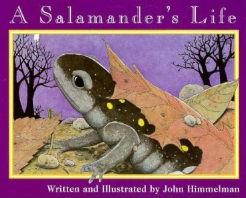 A Salamander's Life