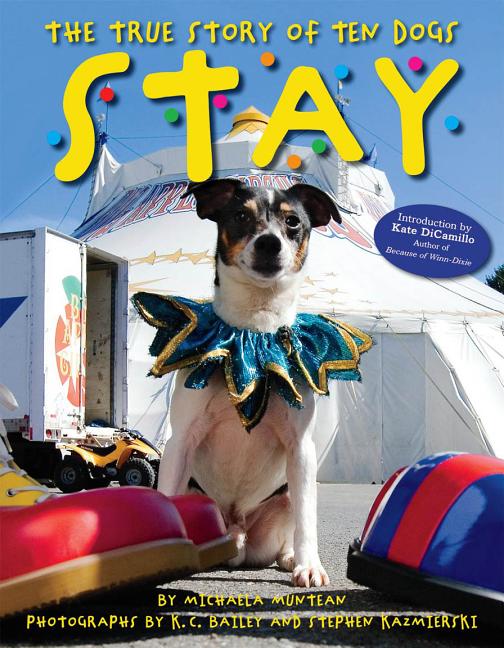 Stay: The True Story of Ten Dogs