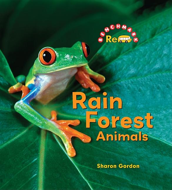 Rain Forest Animals