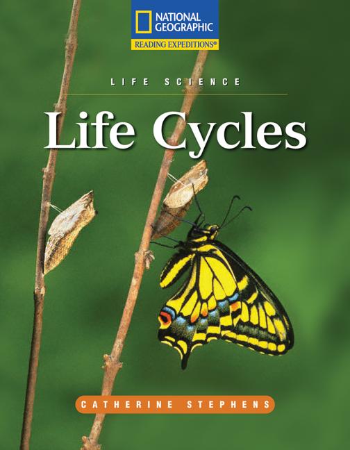 Life Cycles