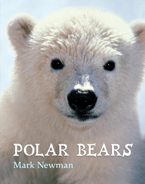 Polar Bears