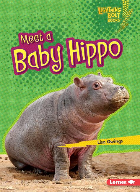 Meet a Baby Hippo