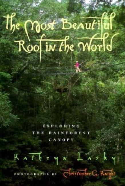 The Most Beautiful Roof in the World: Exploring the Rainforest Canopy