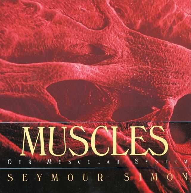 Muscles: Our Muscular System