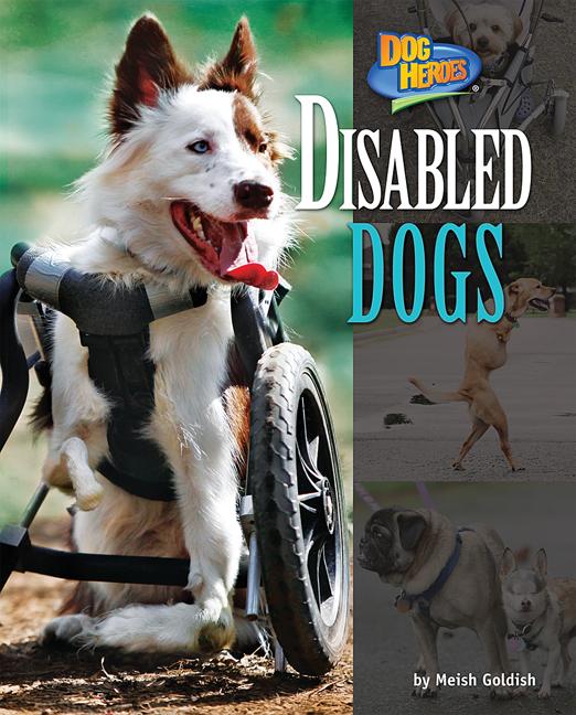 Disabled Dogs