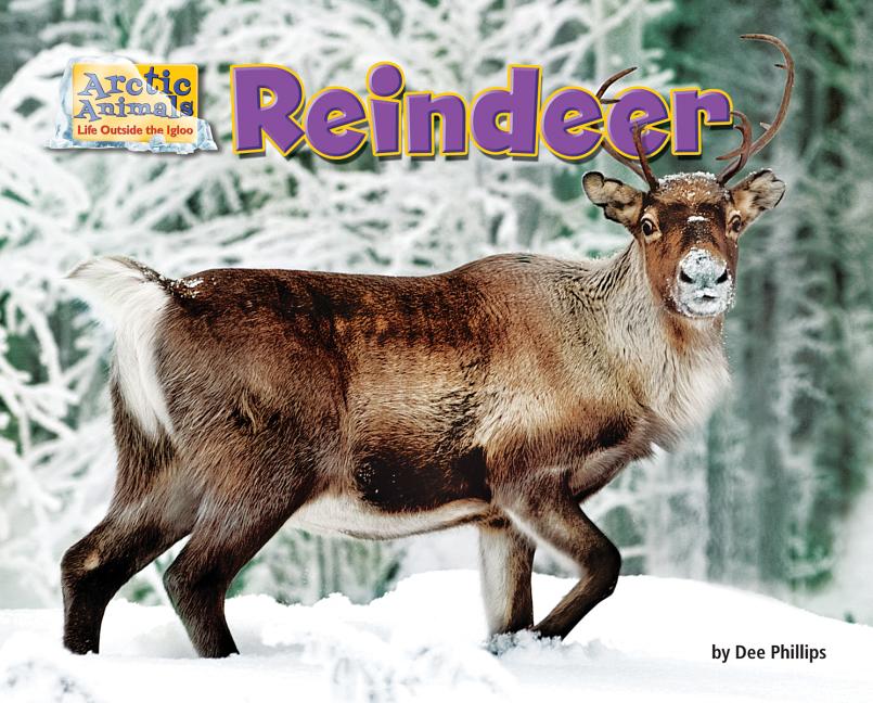 Reindeer