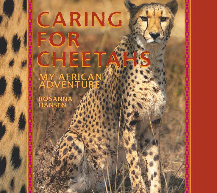 Caring for Cheetahs: My African Adventure