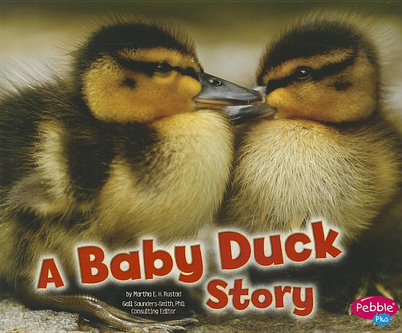 A Baby Duck Story