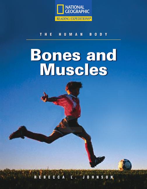 Bones and Muscles