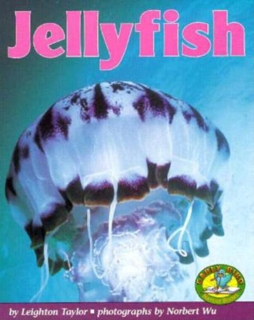 Jellyfish