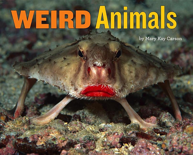 Weird Animals