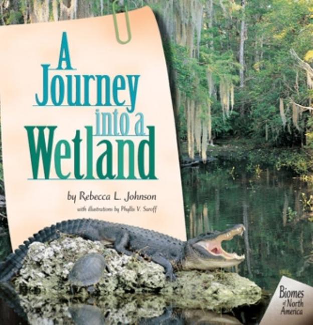 A Journey Into a Wetland