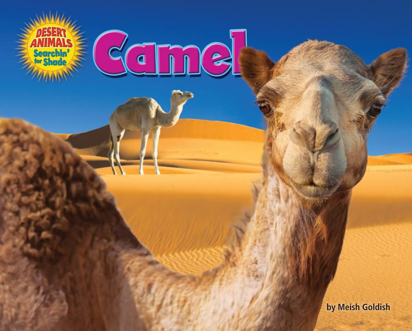 Camel