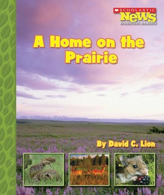 Home on the Prairie, A