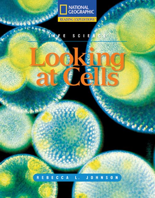 Looking at Cells