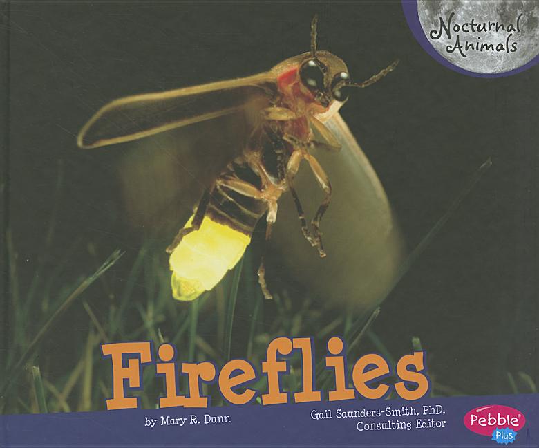 Fireflies