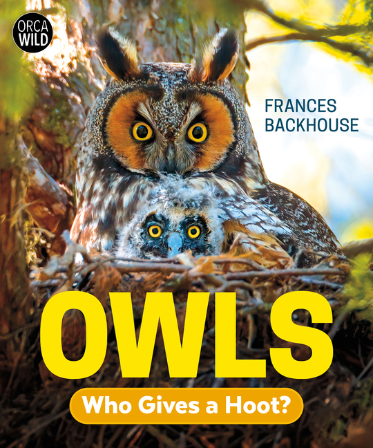 Owls: Who Gives a Hoot?