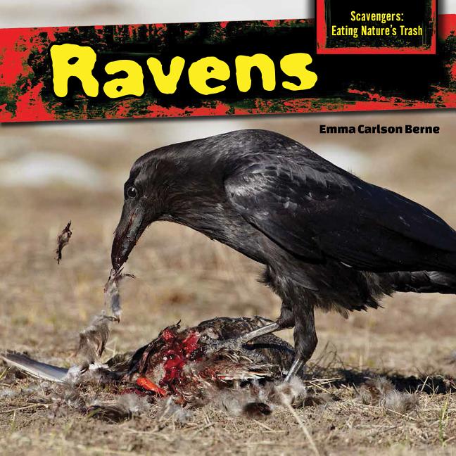 Ravens