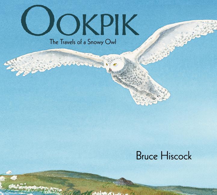 Ookpik: The Travels of a Snowy Owl