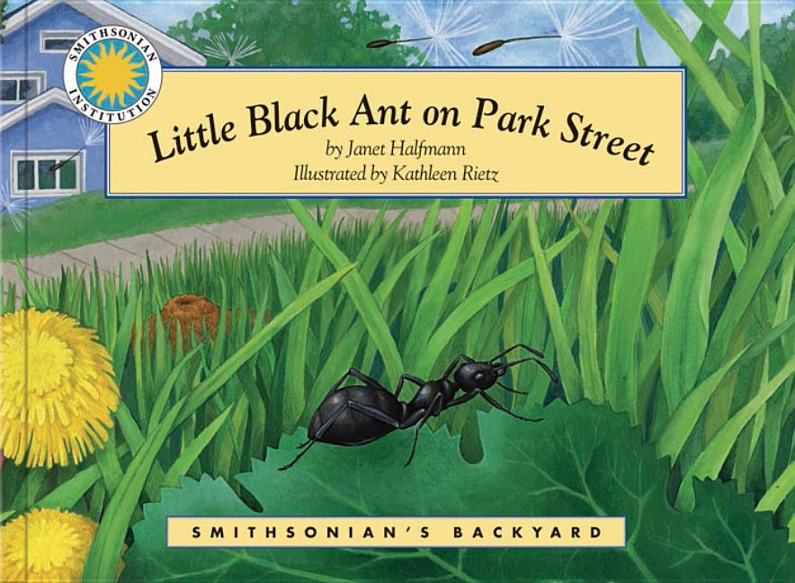 Little Black Ant on Park Street