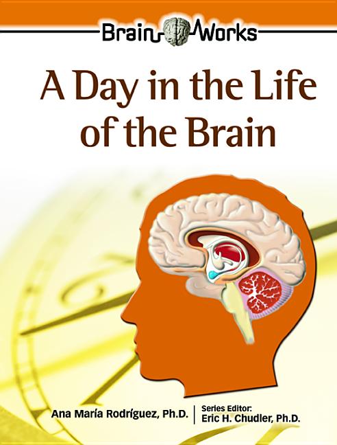 A Day in the Life of the Brain