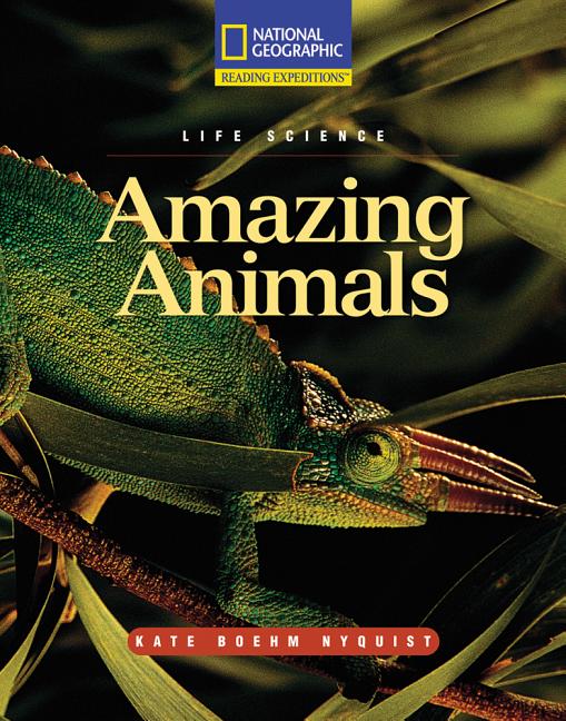 Amazing Animals