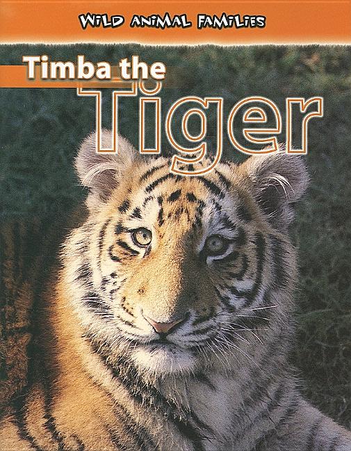 Timba the Tiger