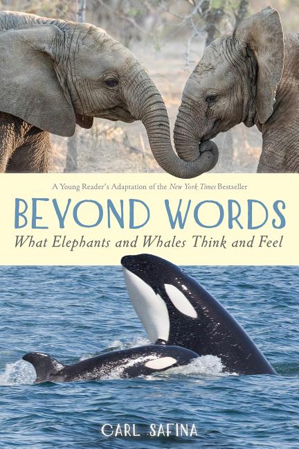 Beyond Words: What Elephants and Whales Think and Feel 