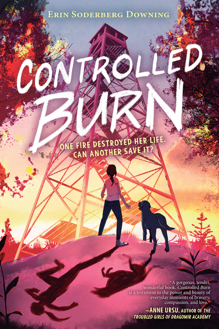 Controlled Burn