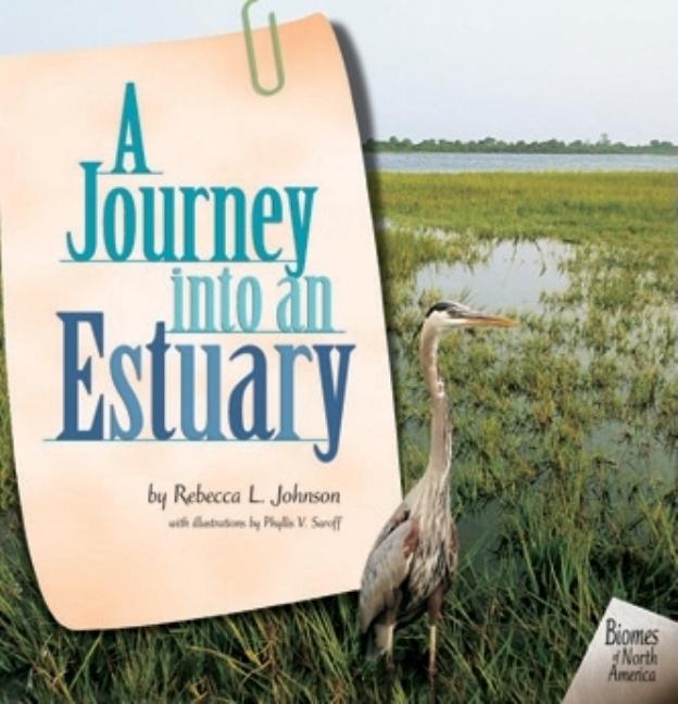 A Journey Into an Estuary