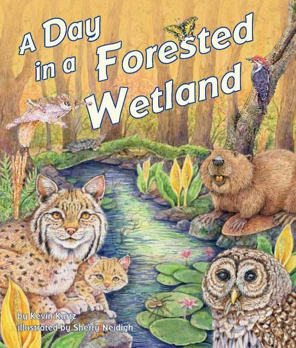 A Day in a Forested Wetland