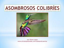 Asombrosos Colibries